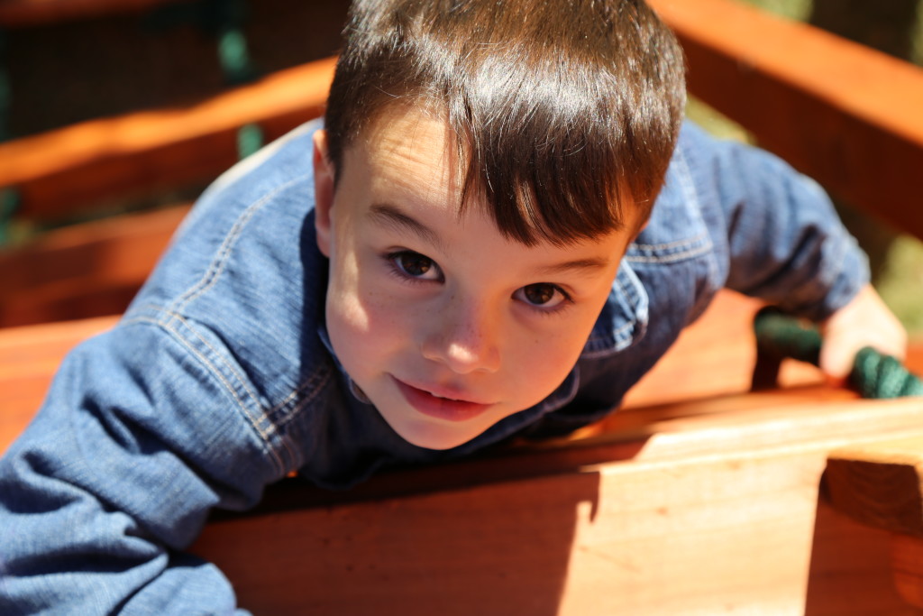 Lantana, Texas, little boy climbing rope ladder on backyard swing set