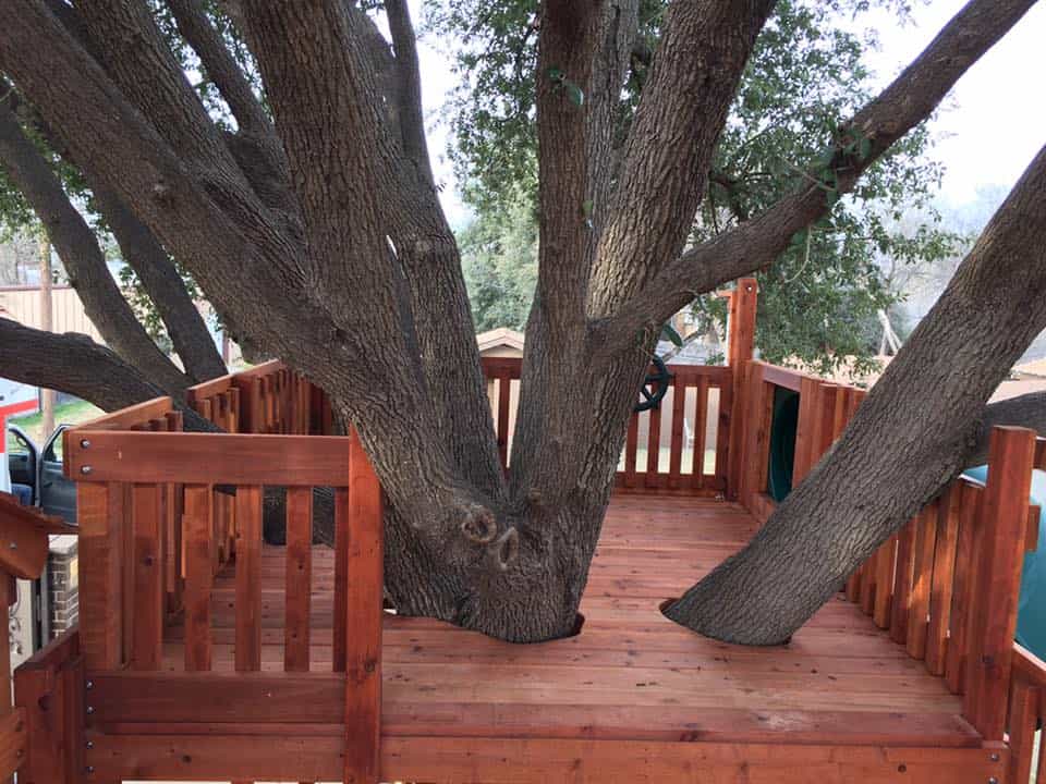 tree deck with custom openings for tree branches