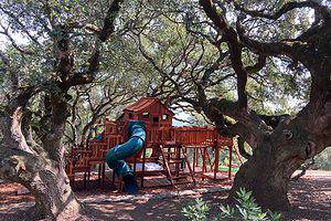 mega playset redwood installed in california amongst trees. Catalog.
