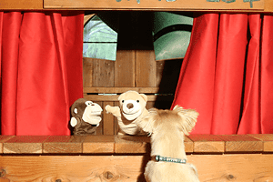 kids puppet theater backyard swing set accessory with a puppy dog for an audience