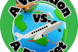 Family Vacation vs. A Backyard Playset Investment