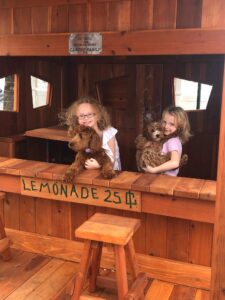 Backyard playsets get the kids more fresh air and sunshine.