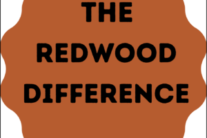 American Redwood: Why This Wood Makes the Safest, Strongest Playsets