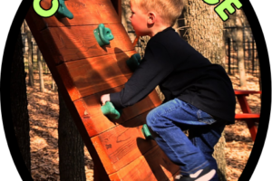 How Climbing on a Backyard Playset Builds Confidence in Kids